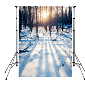 Winter Forest In China Pole Pocket Backdrop