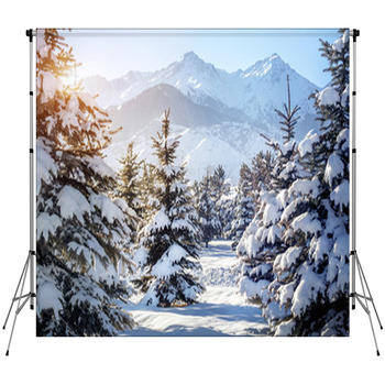 Winter Mountain Scenery Fleece Backdrop