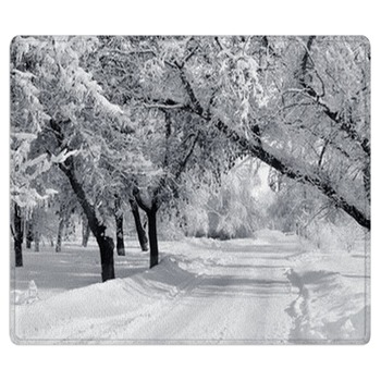 Winter Rugs