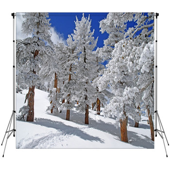 Winter Wonderland In A Pine Forest Custom Size Backdrop