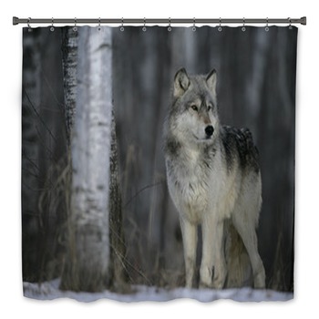 Wolf Bath Decor