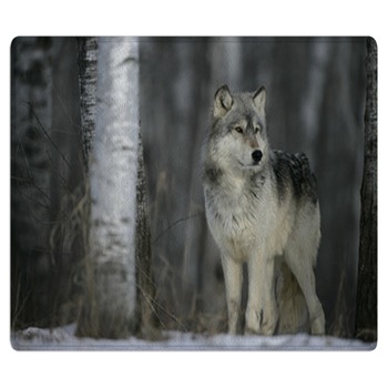 Wolf Rugs