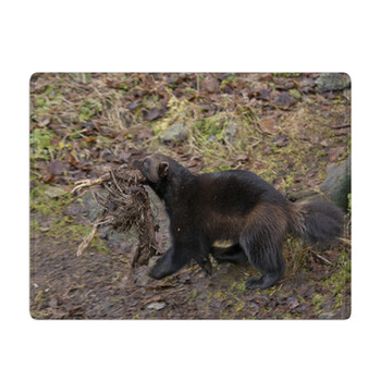 Wolverine Portrait Bath Mat