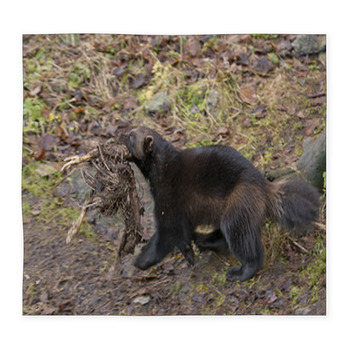 Wolverine Portrait Custom Size Floor Mat