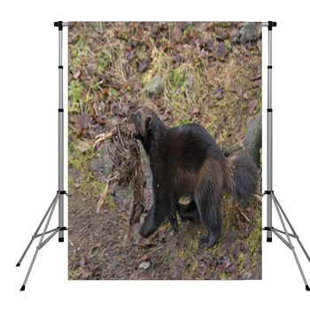 Wolverine Portrait Pole Pocket Backdrop