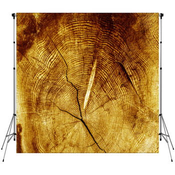 Wood Textured Background Custom Size Backdrop