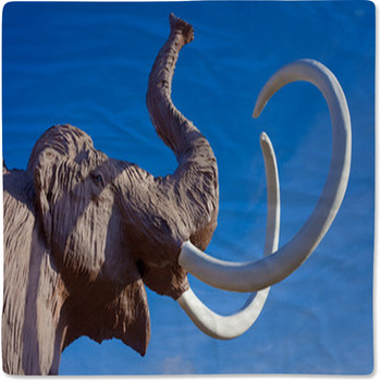 Woolly Mammoth Head Baby Blanket