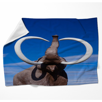 Woolly Mammoth Woven Throw Blanket