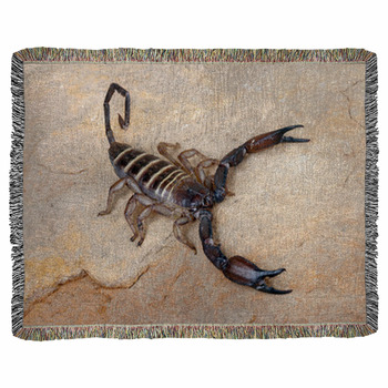 Yellow Banded Flat Rock Scorpion. Woven Throw Blanket