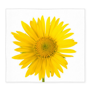 Yellow Daisy Custom Size Floor Mat