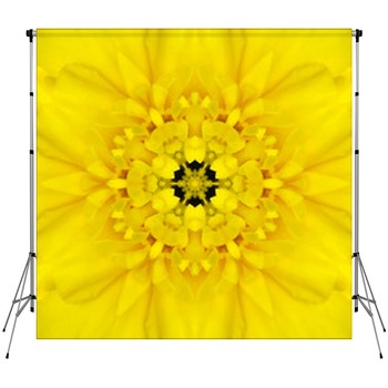 Yellow Floral Backdrops