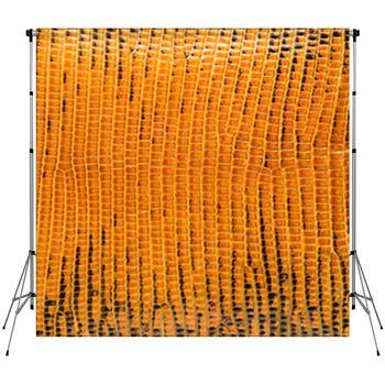 Yellow Lizard Skin, Abstrat Custom Size Backdrop