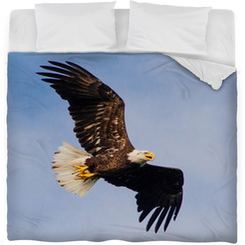 Young Eagle Flying Fleece Bed Blanket
