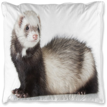 ferret bedding sets