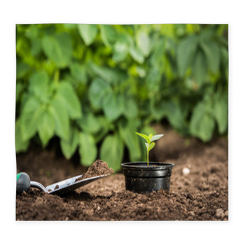 Young Plant In A Pot Ready For Custom Size Floor Mat