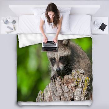Raccoon throw blanket best sale