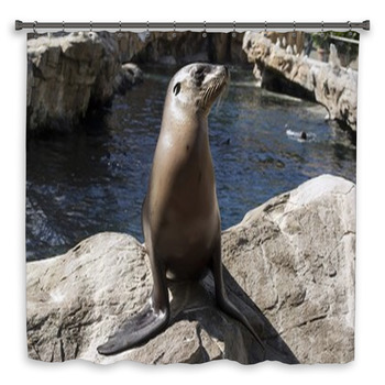 Young Seal On Rocks Custom Size Shower Curtain