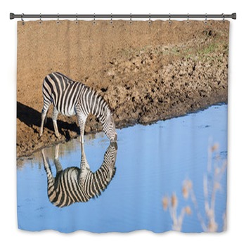 Zebra Bath Decor