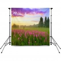 Backdrops