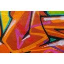 Double Layer Fleece Photo Blanket 50x60
