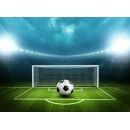 Stadium Soccer Ball Window Curtain